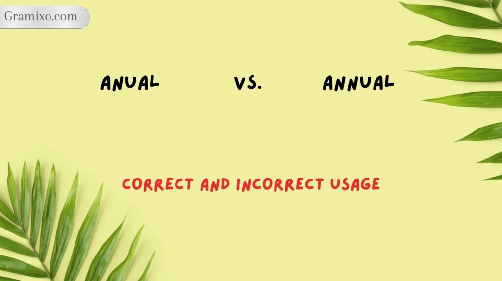 Anual vs. Annual: Correct and Incorrect Usage