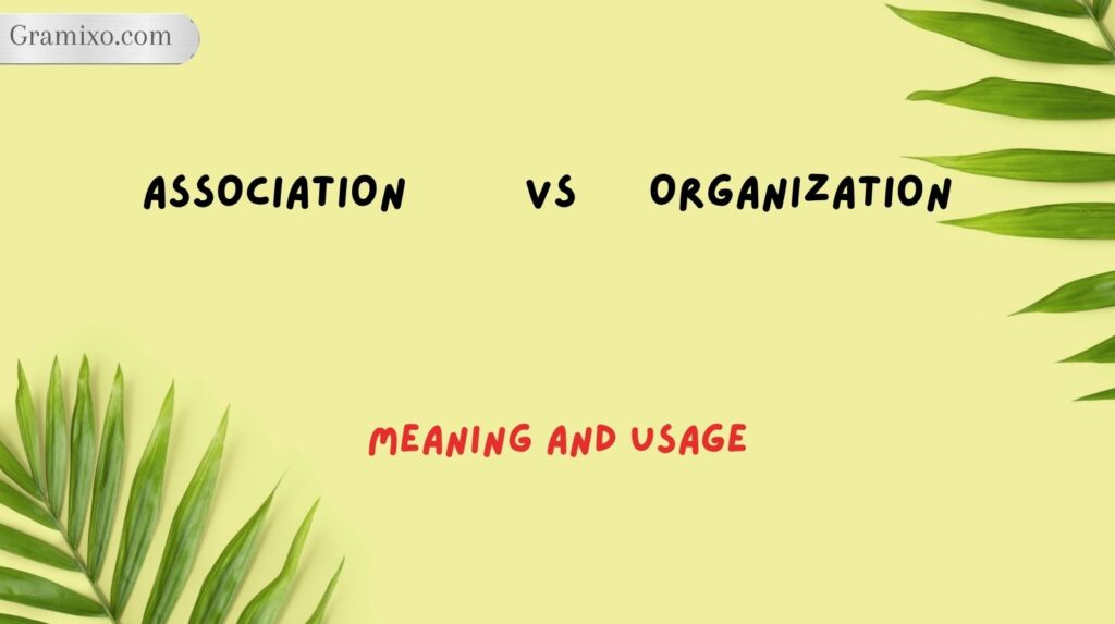Association vs Organization: Meaning and Usage