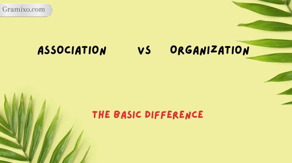 Association vs Organization: The Basic Difference
