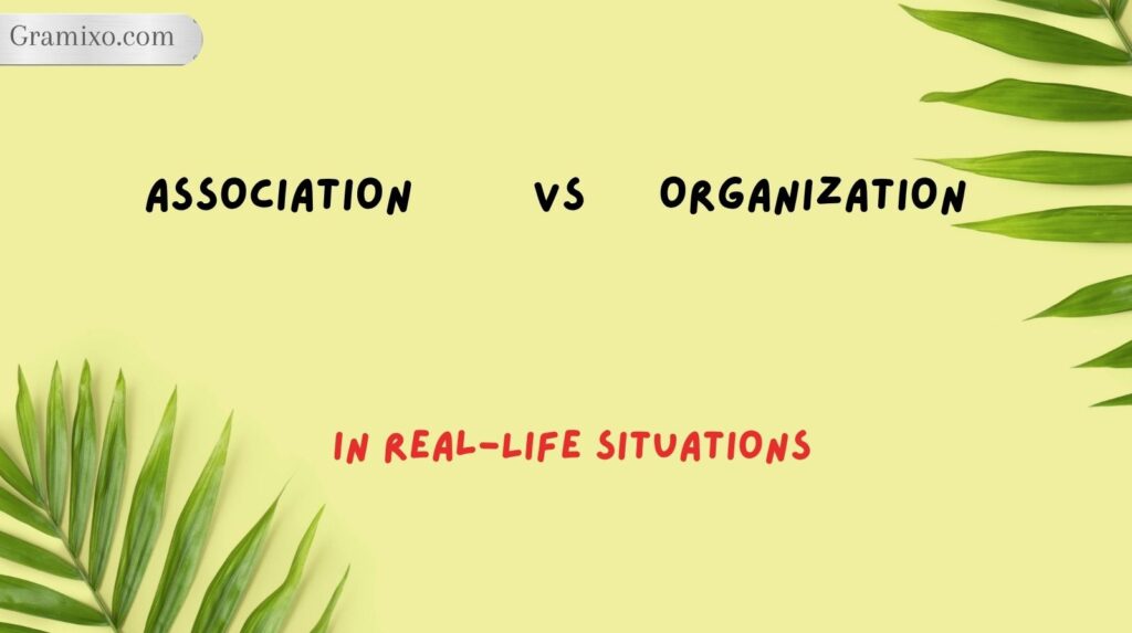 Association vs Organization in Real-Life Situations