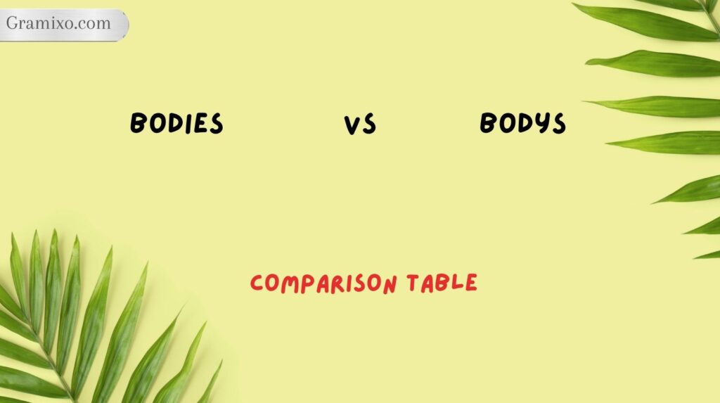 Bodies vs Bodys: Comparison Table