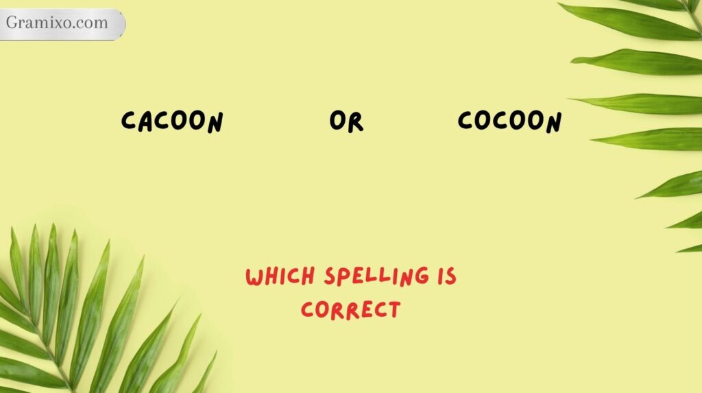 Cacoon or Cocoon: Which Spelling Is Correct?

