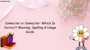 Connector or Connecter: Which Is Correct? Meaning, Spelling & Usage Guide