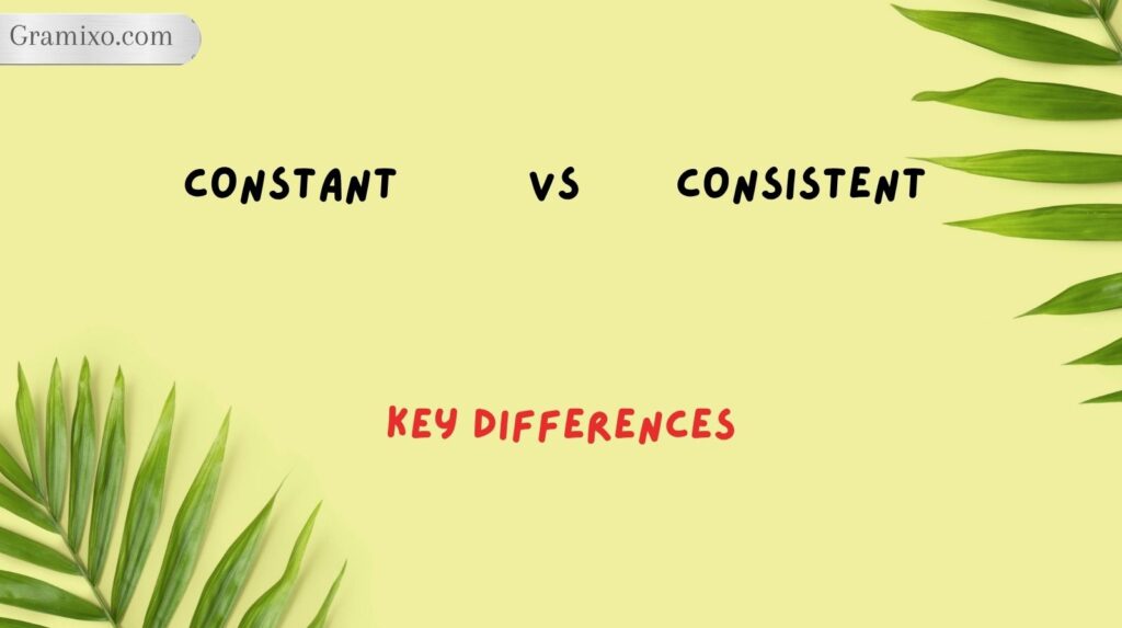 Constant vs Consistent: Key Differences
