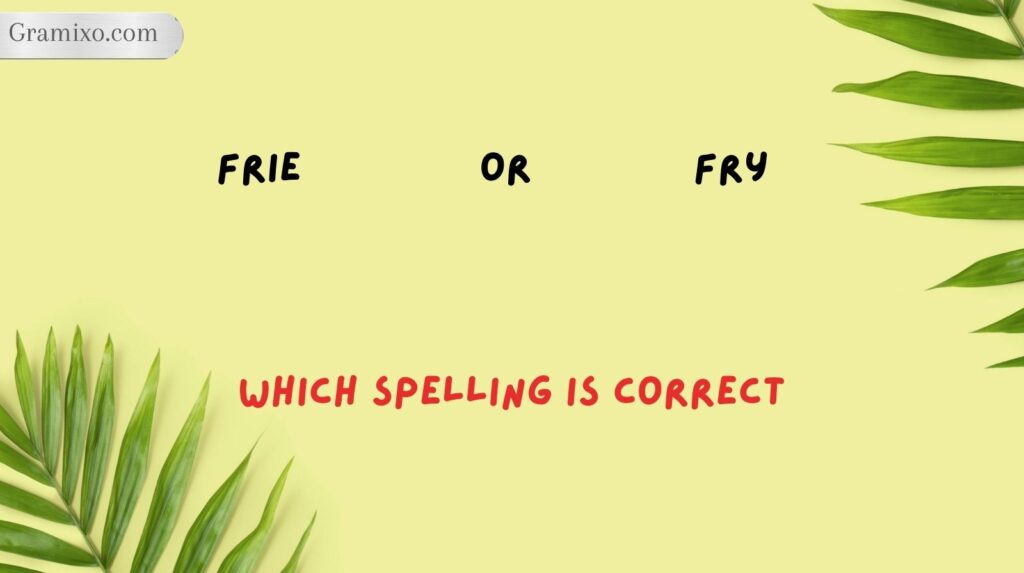 Frie or Fry: Which Spelling Is Correct?