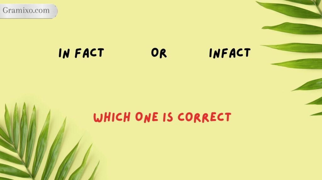 In Fact or Infact: Which One Is Correct?