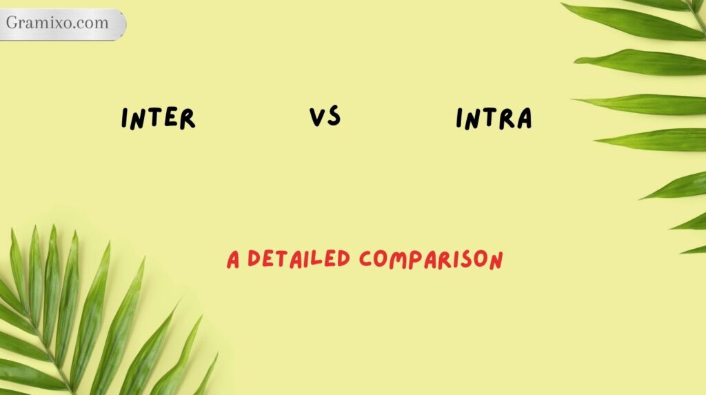 Inter vs Intra: A Detailed Comparison