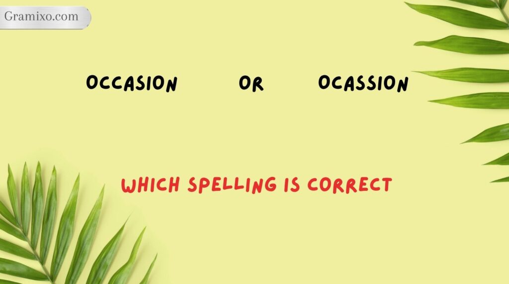 Occasion or Ocassion: Which Spelling Is Correct?