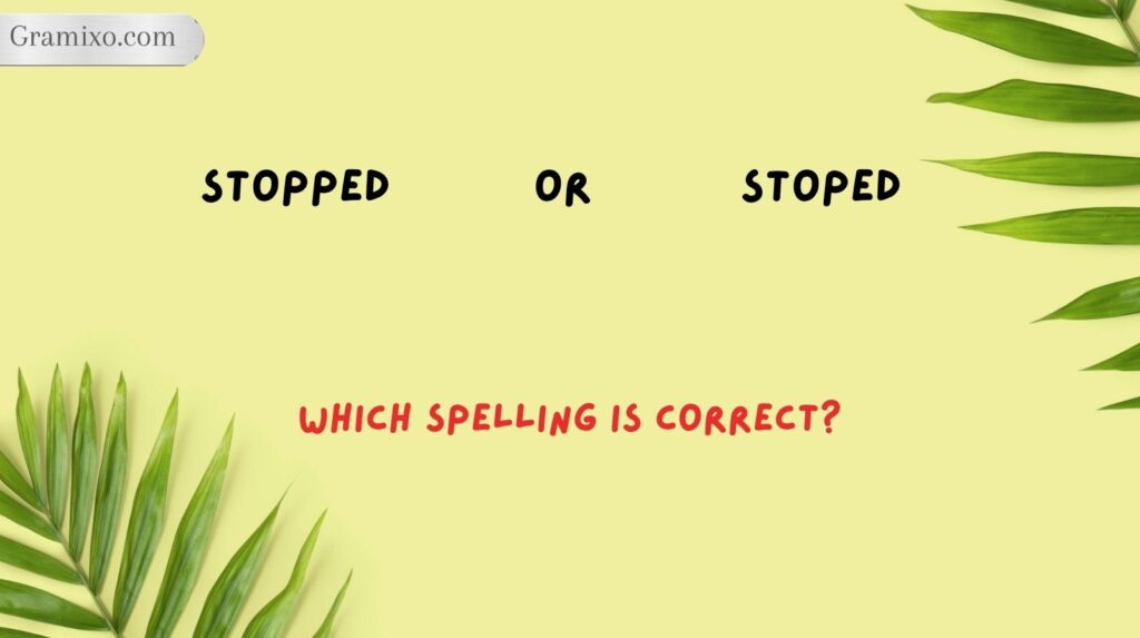 Stopped or Stoped: Which Spelling Is Correct?
