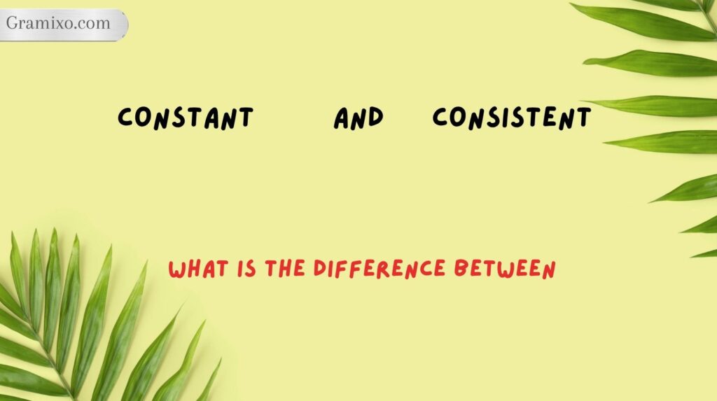 What Is the Difference Between Constant and Consistent?