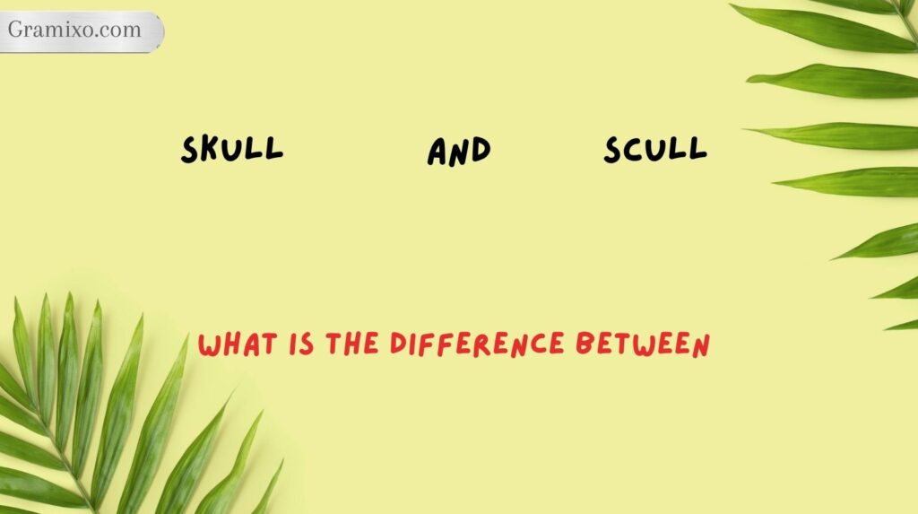 What Is the Difference Between Skull and Scull?