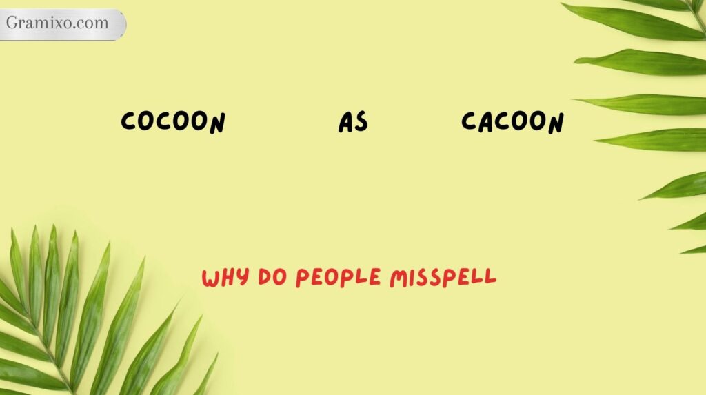 Why Do People Misspell Cocoon as Cacoon?