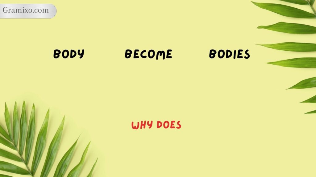 Why Does Body Become Bodies?