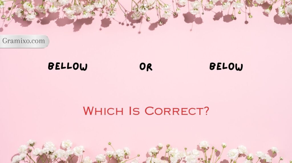 Bellow or Below