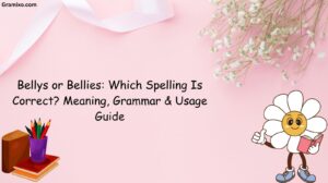 Bellys or Bellies: Which Spelling Is Correct? Meaning, Grammar & Usage Guide