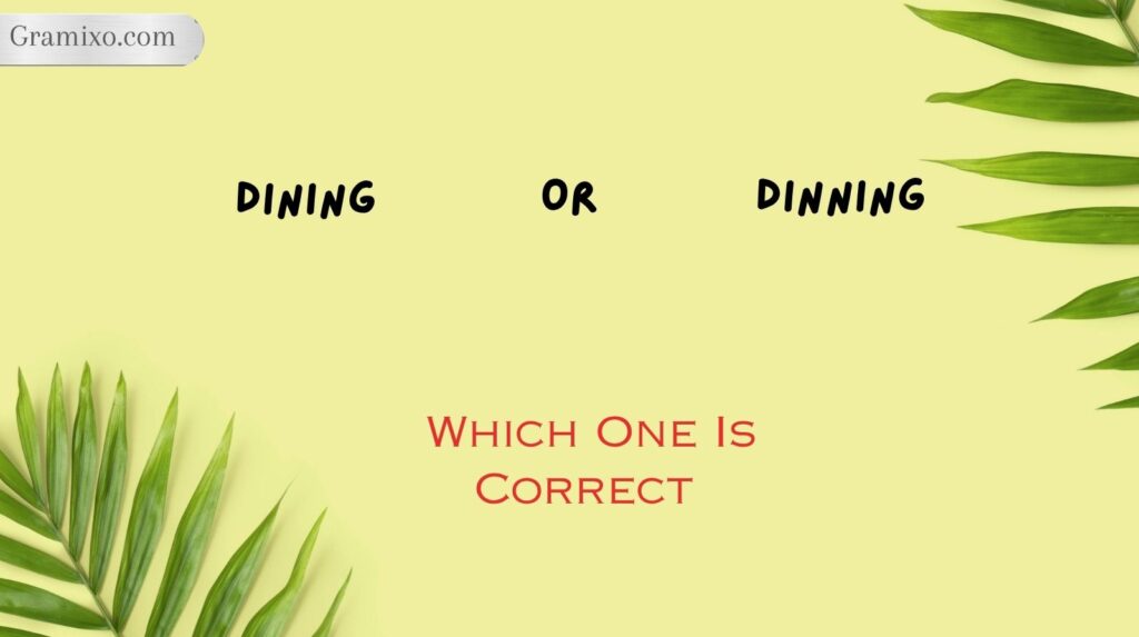 Dining or Dinning: Which One Is Correct?