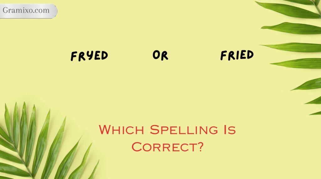 Fryed or Fried: Which Spelling Is Correct?
