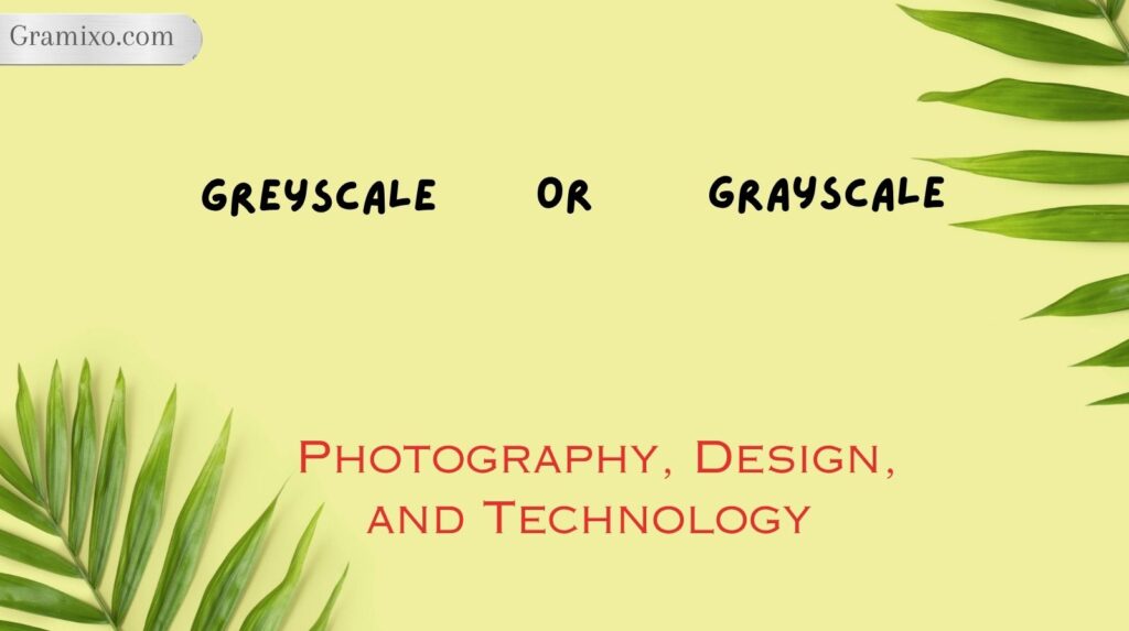 Greyscale or Grayscale in Photography, Design, and Technology
