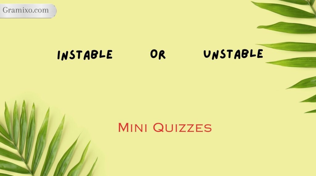 Mini Quizzes