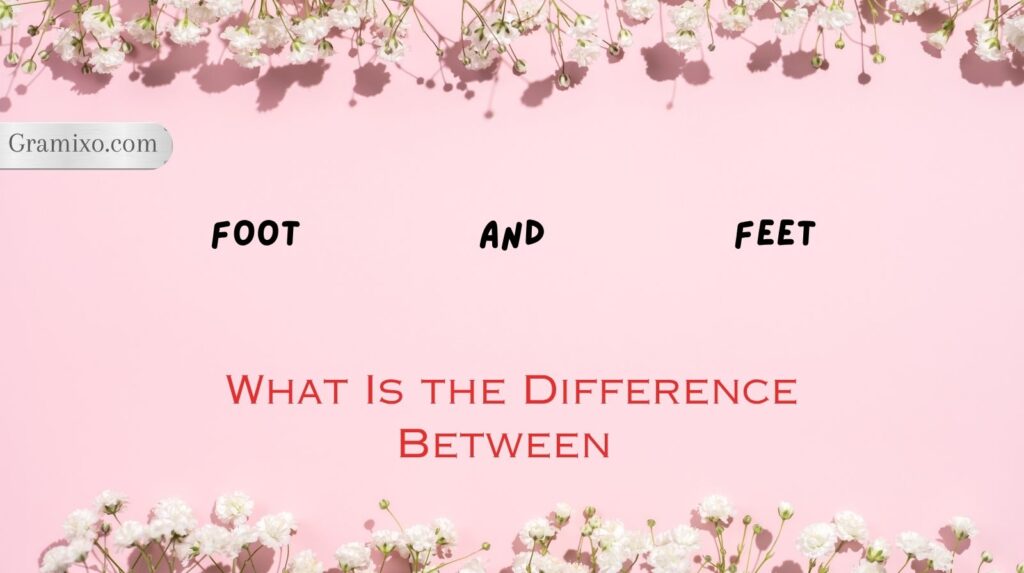Foot and Feet